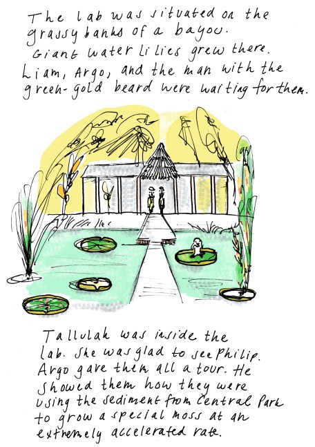 philip.deanasobel.brazil.amazonlabfinal1